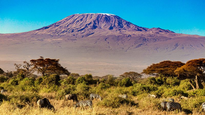 Amboseli National Park Safari