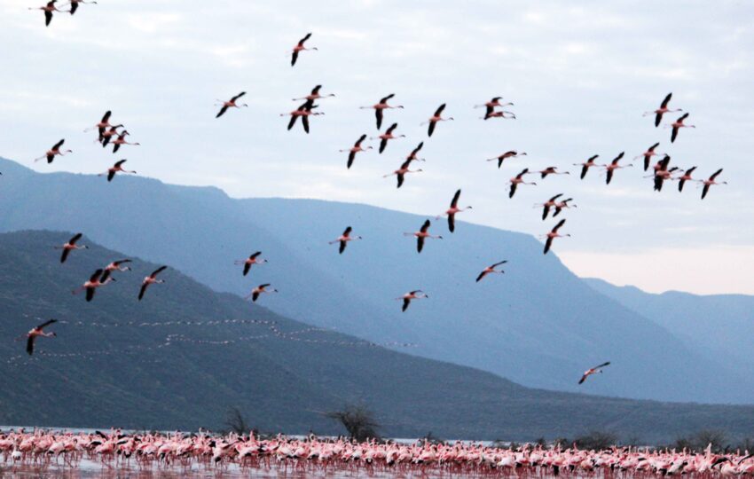 Lake Nakuru National Park