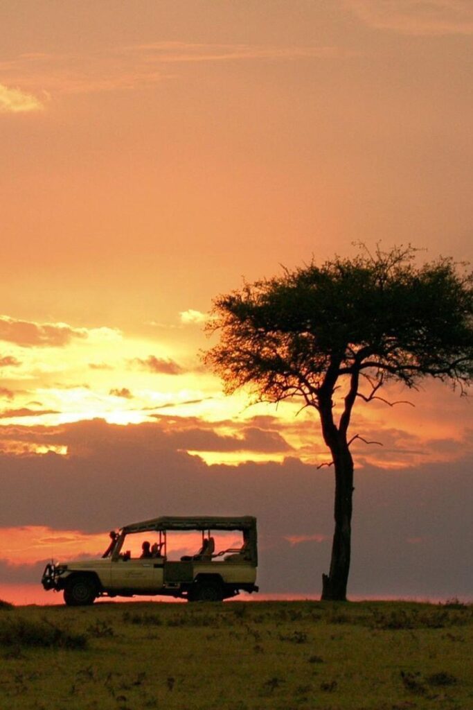 What to pack for an african safari
