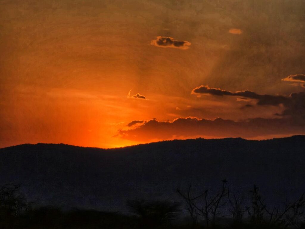 December Safari Weather Guide