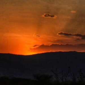 Budget Maasai Mara Safari