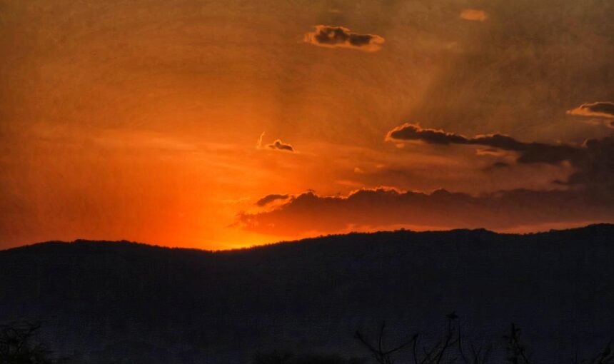 Budget Maasai Mara Safari: Your Complete Guide to an Affordable Kenya Wildlife Adventure