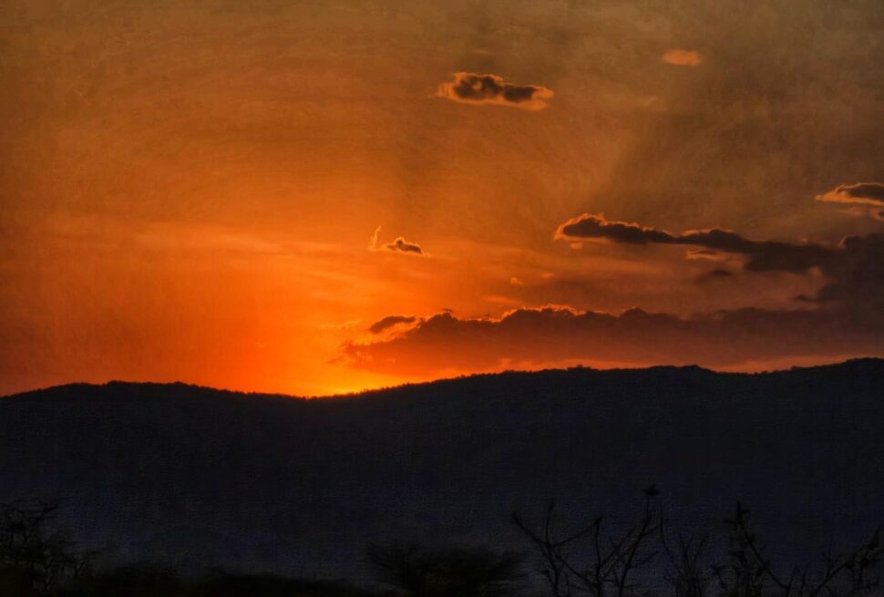Budget Maasai Mara Safari