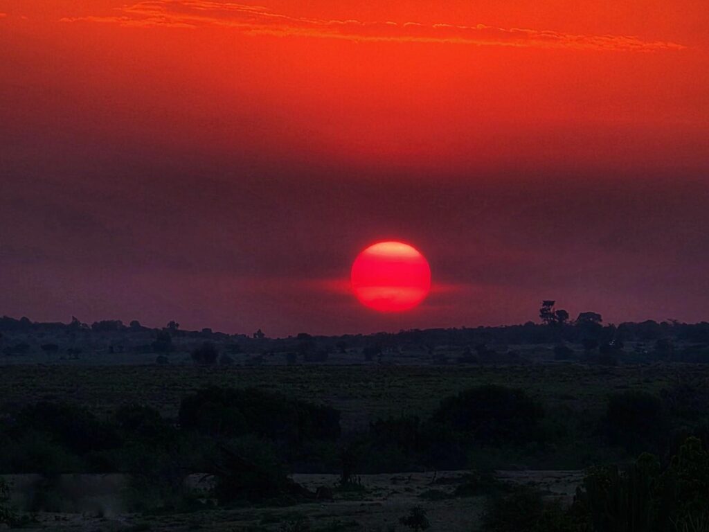 Budget Maasai Mara Safari