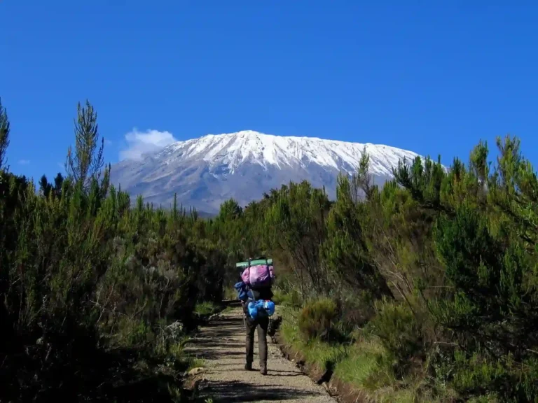 Kilimanjaro_Tanzania-_Climb_Rongai_Route