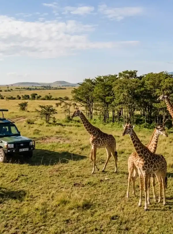 Masai Mara