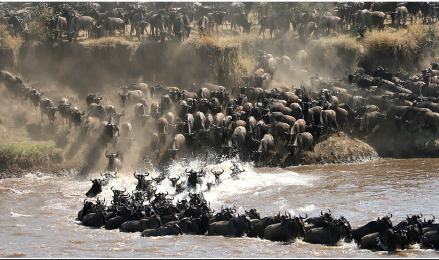 The Great Wildebeest Migration in Kenya & Tanzania: Complete Safari Guide for 2026