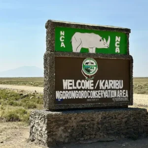 Kenya Safari from Europe