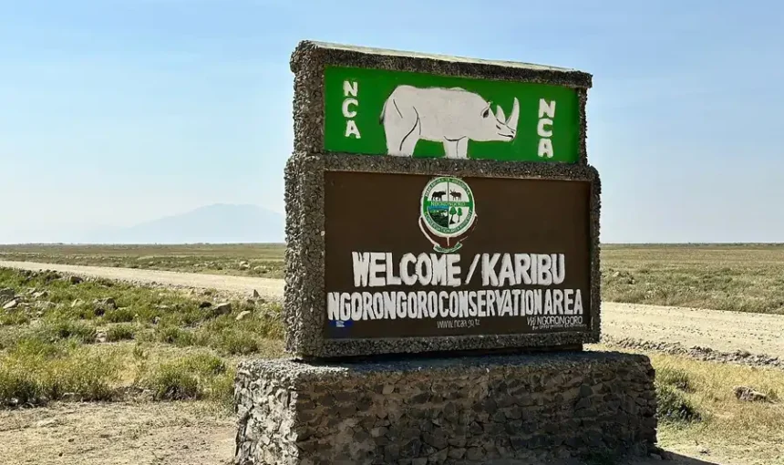 How to Plan a Kenya Safari from Europe: The Complete Travel Guide