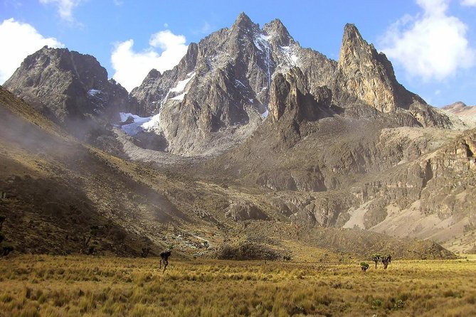 Mountain and Safari Adventure in Kenya