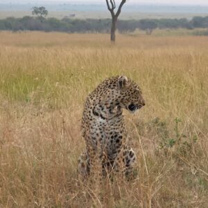 Mountain and Safari Adventure in Kenya