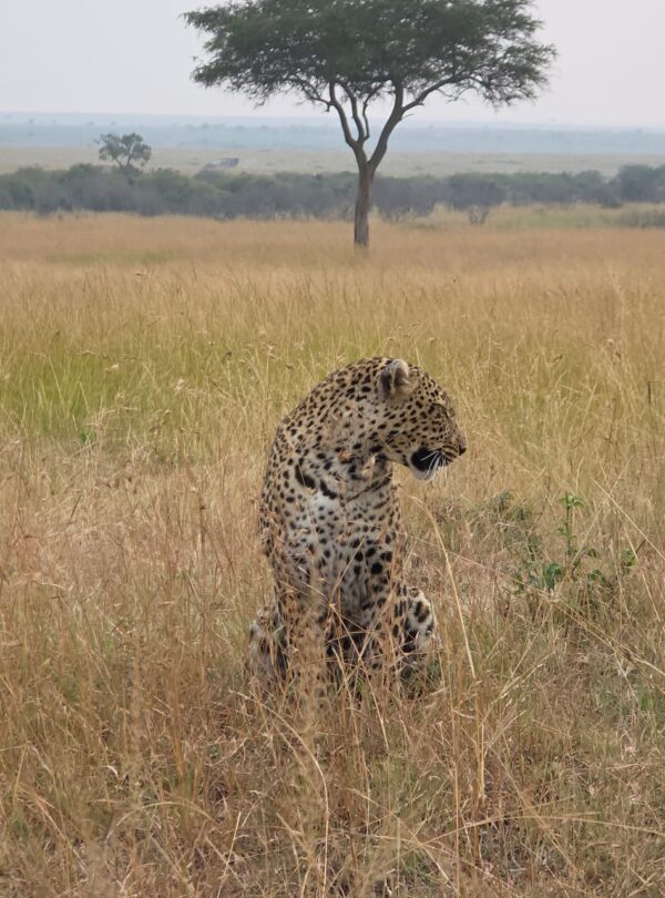 Mountain and Safari Adventure in Kenya