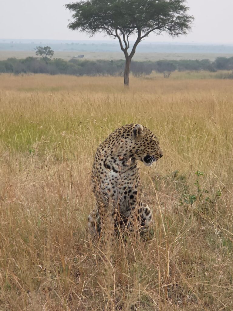 Mountain and Safari Adventure in Kenya