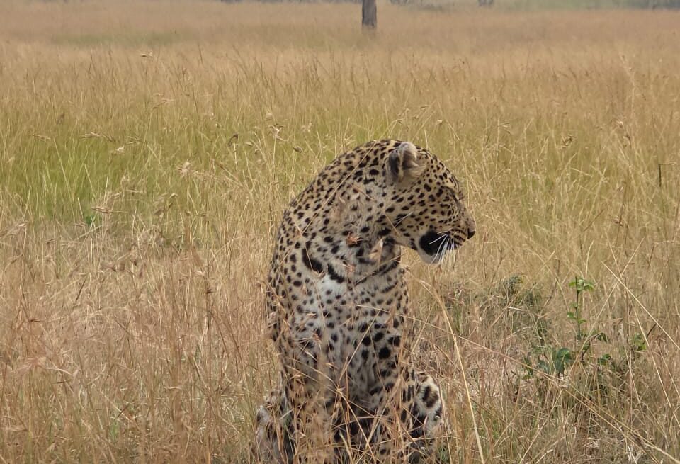 Mountain and Safari Adventure in Kenya