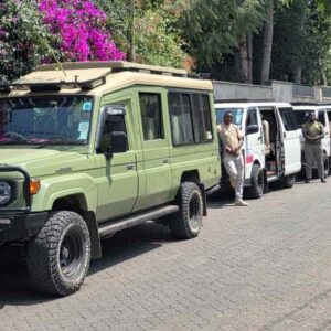 How to Plan a Kenya Safari from the USA