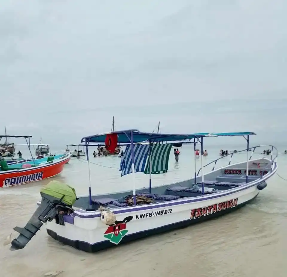 Safari and Diani Beach Christmas Packages