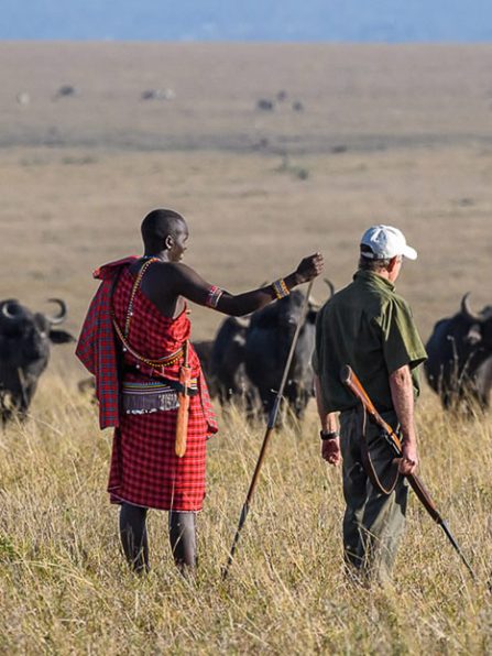 walking-safari